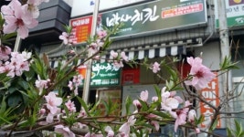 박사치킨, 새로운 개념의 창업지원으로 창원맛집 노하우 전수한다