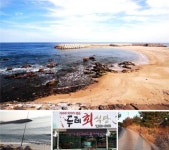 [울진 죽변항 맛집] 봄의 전령사 자연산 횟집 두레회식당