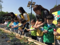 부천1센터, 텃밭체험 실시