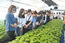 안전한 먹을거리, GAP농산물 찾아 전문가가 나섰다