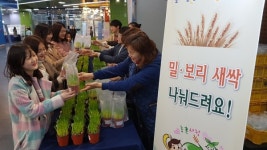 잘 키운 우리 밀·보리, 세계와 맞선다