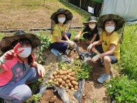 학교텃밭으로 마음방역 해요~
