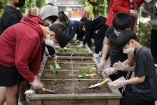텃밭 작물 보고 만지며, 환경 생태 감수성 쑥쑥