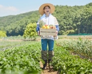친환경농산물이 좋은 4가지 이유
