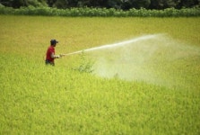 농산물 잔류농약 검사 강화한다