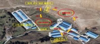 농진청, 한우연구소 초지에 한우 암소 200마리 방목