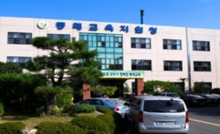 부산 소규모 유치원 지원 영양교사 호평