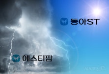 같은 그룹, 다른 실적…동아ST-에스티팜 상반기 희비 갈린 이유 보니