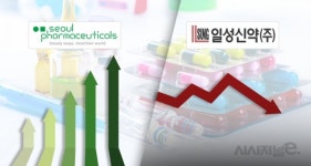 제약사도 시스템 운영해야···서울제약-일성신약, 엇갈린 경영실적 눈길