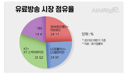 유료방송 지각변동 재시작…핵으로 떠오른 현대HCN