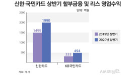 신한카드렌탈/리스사용료 | 신한·국민카드, 상반기 실적 선방···할부금융·리스가 '효자'