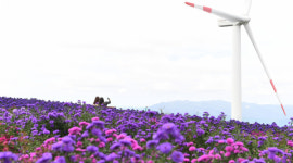 신재생에너지 공급의무비율 2022년 10%로 상향