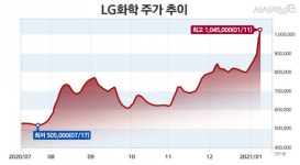 LG에너지솔루션 조기 상장설···황제주 등극한 LG화학 발목잡을까