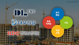 부동산 시장 개척자, 디벨로퍼 꿈꾸는 대형건설사