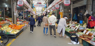 [현장] 대파 한 단 7000원? 차라리 키워먹자···농산물 고공행진에 커지는 시름