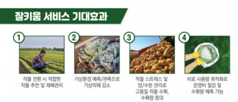 에이아이에스인베스트먼트주 | 그린랩스·에이아이에스, 전 세계 '곡물대란' 해결사 될까