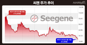 추락하는 씨젠···엔데믹 대응에도 한계점 드러나나