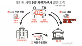 태양광 비리 논란에 신재생E 위축되나···바이오매스 등 다양화·국산화 필요