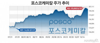 [주간e종목] 포스코케미칼, 포드 양극재 공급 기대에 52주 신고가 경신