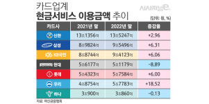 우리카드, 지난해 현금서비스 이용액 증가폭 최대
