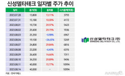 초전도체 대장주 신성델타테크는 어떤 회사?