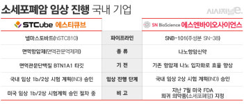 소세포폐암 임상 진도 나가는 에스티큐브·에스엔바이오사이언스···각 기전과 임상 계획은
