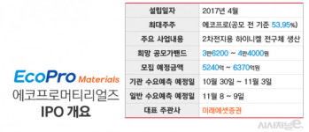 에코프로머티리얼즈 IPO, 2차전지 투심 냉각 속 흥행할까