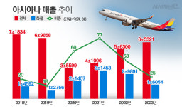엠비케이파트너스스페셜시튜에이션스 | 제주항공 빠진 아시아나 화물 매각···유력 후보로 떠오른 '에어프레미아'