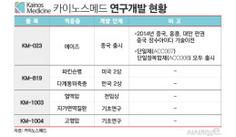 카이노스메드, 파킨슨 신약 2상 중간 발표 임박···현금 확보 매진