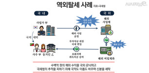 황금비자로 국적세탁·원정진료 코인결제···신종 역외탈세 백태