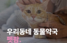 반려동물 헬스케어 펫팜...소비자‧약국 인식 변화 집중