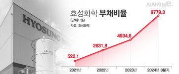 특수가스 매각 무산 효성화학, 주력 프로필렌 업황도 최악
