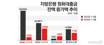 지방 가계대출 규제 완화, 지방은행엔 그림의 떡?