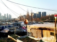 설계·보상 본격화···구룡마을 개발 카운트다운