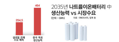 中 나트륨 배터리 독주 제동 거는 K배터리