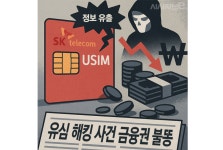 SKT 유심 해킹 사건에 금융권 '초긴장'···업권별 대응책은