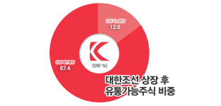 대한조선, 기관물량 의무보유확약에 80% 배정···공모주 대박 터질까