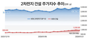 이차전지는 ESS, 건설은 원전···불장 소외주들, 사업 전환해 반등 시도