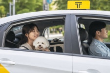 멍멍이와 택시 탄다···카카오T 펫 30분 시간예약 정식 서비스로 전환