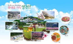 꽃내음 가득한 올봄 여행길 - 영천댐공원 벚꽃100리길 여행