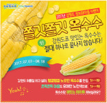 철원군 토성민속정보화마을 찰옥수수 온라인 특판