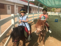 상주국제승마장 , 여름방학 승마입문과정 프로그램 개설