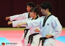 100대 국정과제 태권도 문화콘텐츠화 추진해 명품 콘텐츠로 개발한다