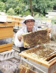 유기농 양봉, 꿀보다 달콤한 일상