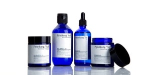 편강율, 미국 K뷰티 시장서 주목