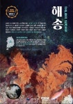 바닷속 소나무 해송이 뭐지?
