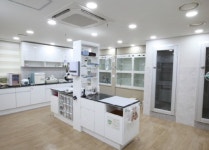 노령 반려동물, 정기적인 동물병원 방문으로 건강검진 필요해