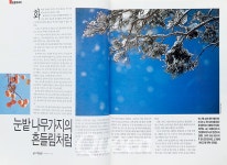 [옛날 Queen 다시보기] 1990년 11월호 - 포토에세이