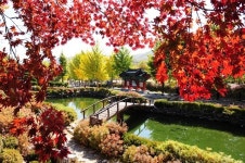 올 가을엔, 떠나자 제천으로!!