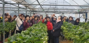 3월 통영시 추천 관광코스 맛기찬 딸기농장